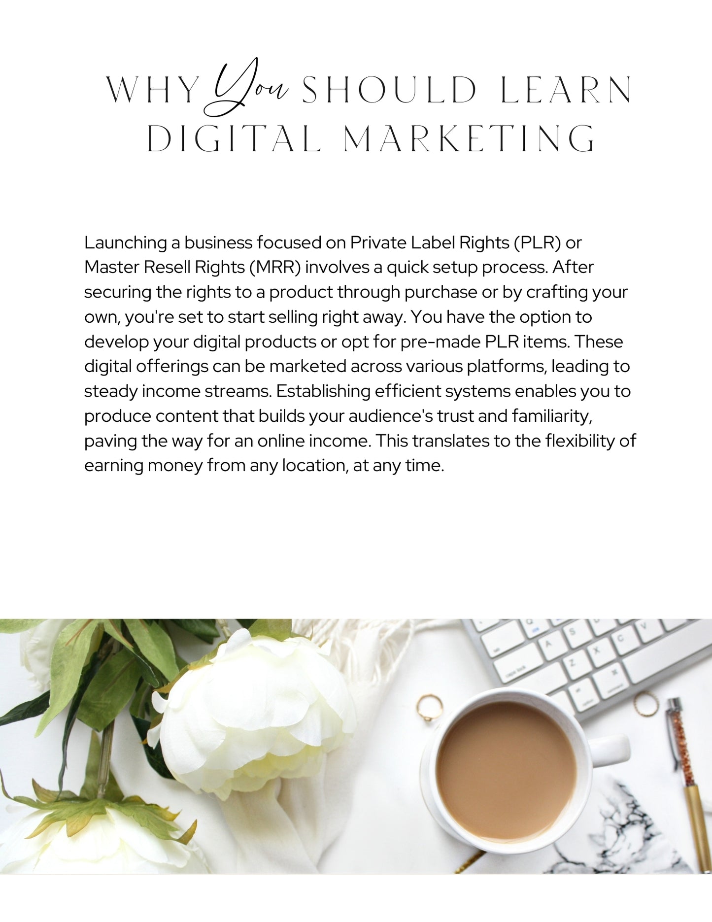 Digital Marketing Guide