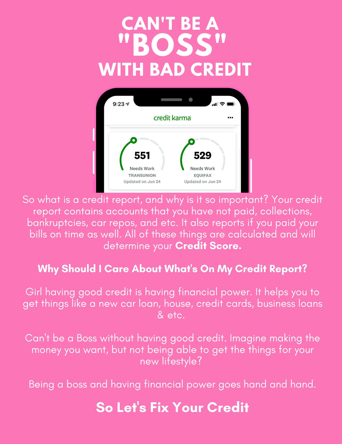 The Credit Plug ( 30 PAGES)